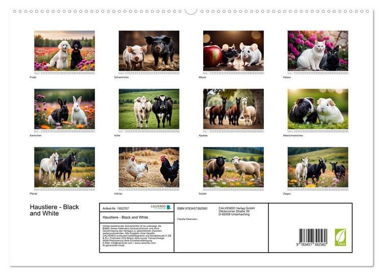 Produktbild: Haustiere - Black and White (hochwertiger Premium Wandkalender 2026 DIN A2 quer), Kunstdruck in Hochglanz