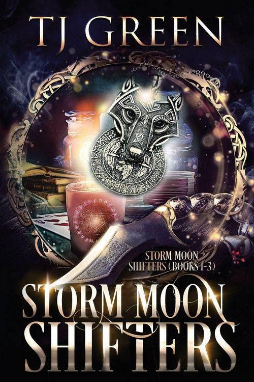 Produktbild: Storm Moon Shifters Books 1- 3