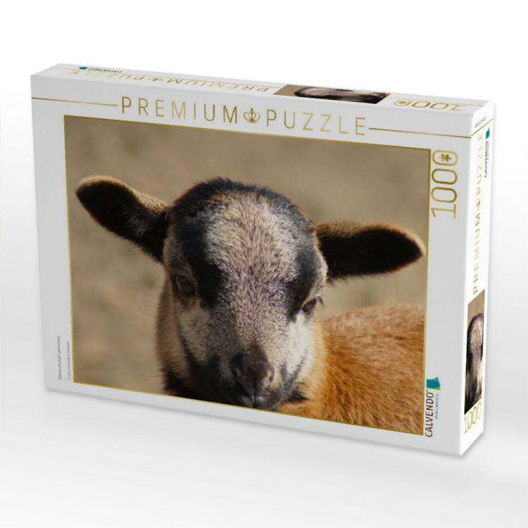 Produktbild: CALVENDO Puzzle Kamerunschaf L&auml;mmchen | 1000 Teile Lege-Gr&ouml;&szlig;e 64x48cm Foto-Puzzle f&uuml;r gl&uuml;ckliche Stunden