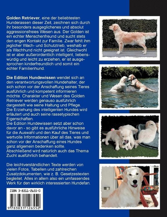 Produktbild: Golden Retriever