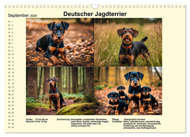 Produktbild: Terrier-Rassen im Portrait (Wandkalender 2026 DIN A3 quer), CALVENDO Monatskalender
