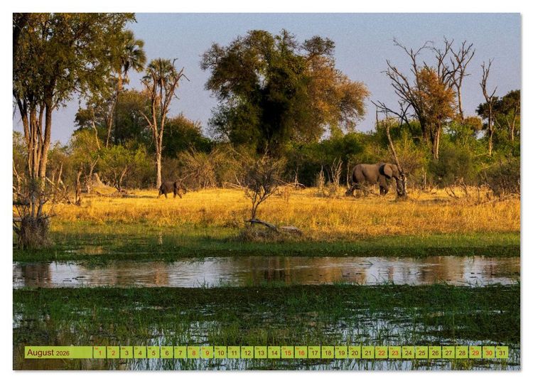 Produktbild: Das Okavango-Delta - Naturwunder im Herzen Afrikas (Tischkalender 2026 DIN A5 quer), CALVENDO Monatskalender