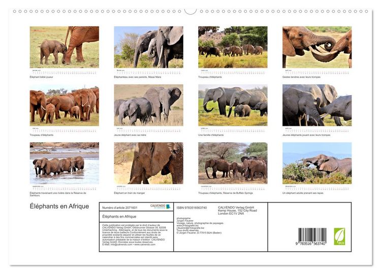 Produktbild: &Eacute;l&eacute;phants en Afrique (Calendrier mural 2026 DIN A2 vertical) calendrier de bureau