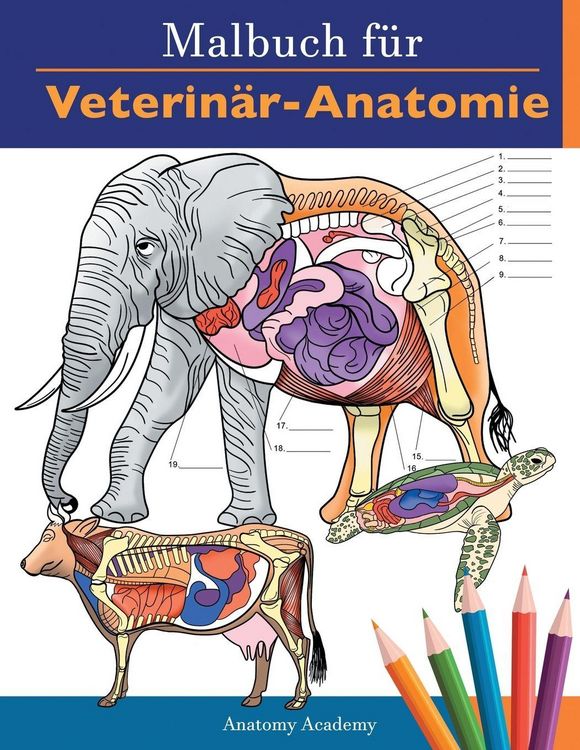 Produktbild: Malbuch f&uuml;r Veterin&auml;r-Anatomie