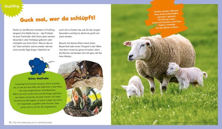 Produktbild: Drinnen & drau&szlig;en mit der Maus