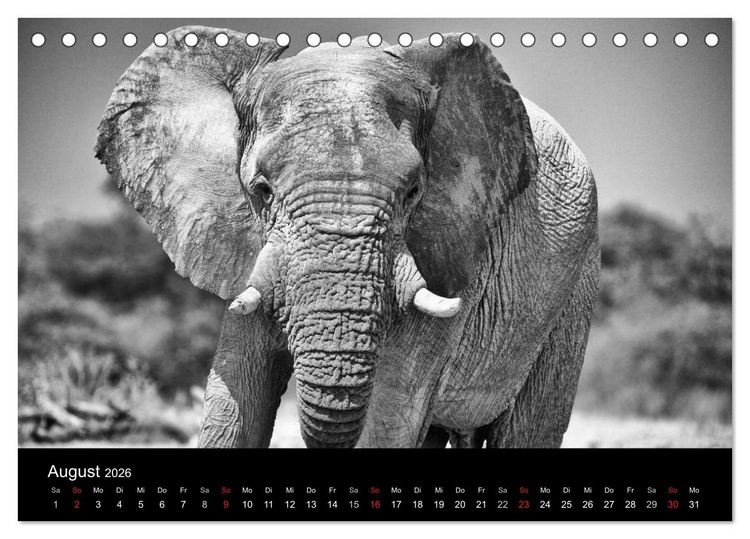 Produktbild: Elefanten Schwarz - Weiss (Tischkalender 2026 DIN A5 quer), CALVENDO Monatskalender