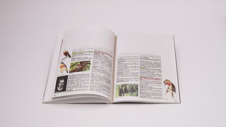 Produktbild: Philip Loersch &ndash; Pow - Portraitist Of Writing