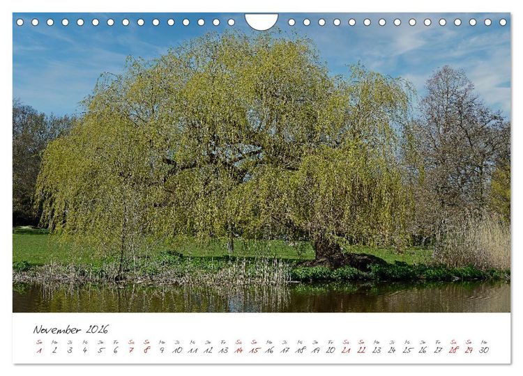 Produktbild: Alsteransichten in Hamburg (Wandkalender 2026 DIN A4 quer), CALVENDO Monatskalender