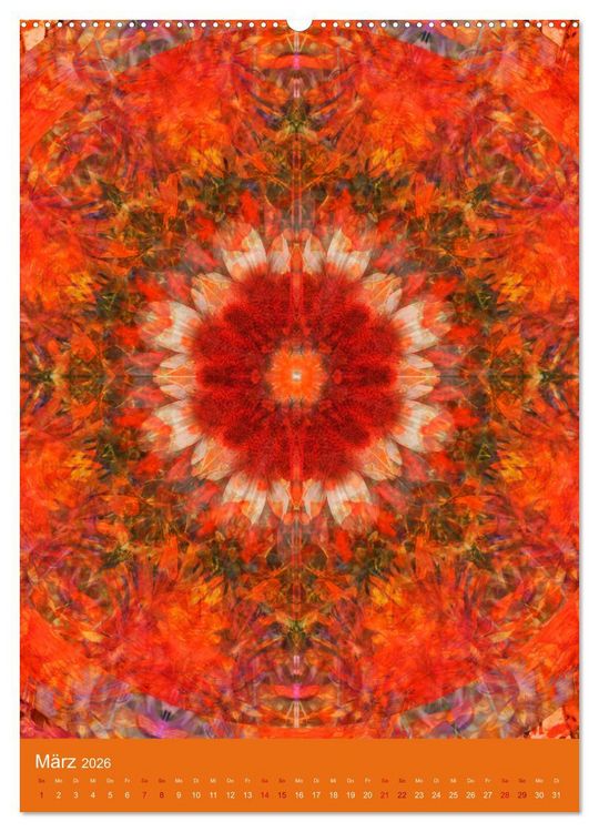 Produktbild: Meditative Pflanzenmandalas (hochwertiger Premium Wandkalender 2026 DIN A2 hoch), Kunstdruck in Hochglanz