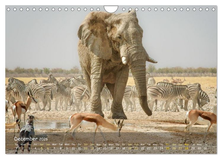 Produktbild: Namibia - African Beauty (Wall Calendar 2026 DIN A4 landscape), CALVENDO 12 Month Wall Calendar