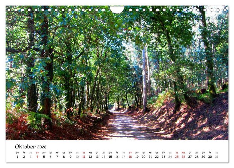 Produktbild: Camino Portugues - Jakobsweg (Wandkalender 2026 DIN A4 quer), CALVENDO Monatskalender