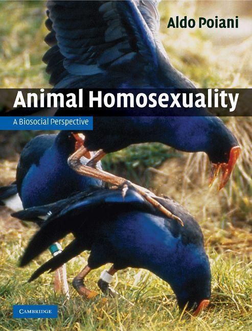 Produktbild: Animal Homosexuality