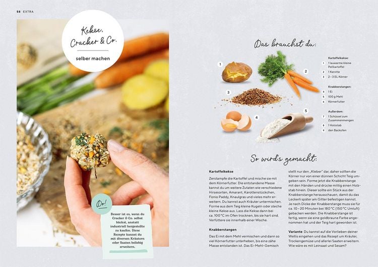 Produktbild: Wellensittiche