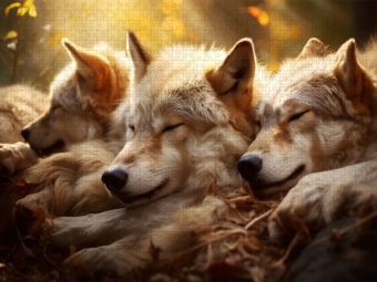Produktbild: CALVENDO Puzzle Ein Motiv aus dem Kalender "Wenn sie schlafen" | 2000 Teile Lege-Gr&ouml;&szlig;e 90x67cm Foto-Puzzle f&uuml;r gl&uuml;ckliche Stunden