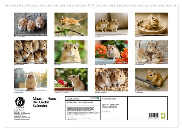 Produktbild: Maus im Haus - der Gerbil Kalender (Wandkalender 2026 DIN A2 quer), CALVENDO Monatskalender