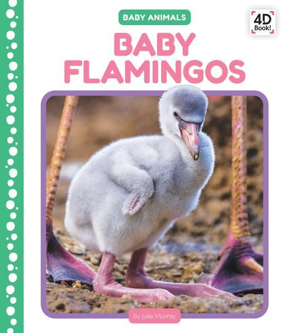 Produktbild: Baby Flamingos