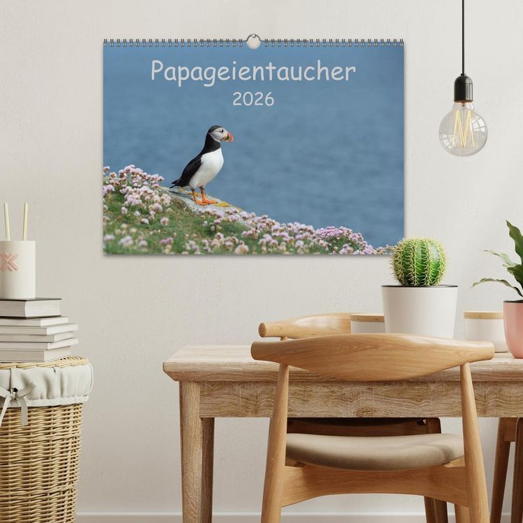 Produktbild: Papageientaucher 2026 (Wandkalender 2026 DIN A3 quer), CALVENDO Monatskalender
