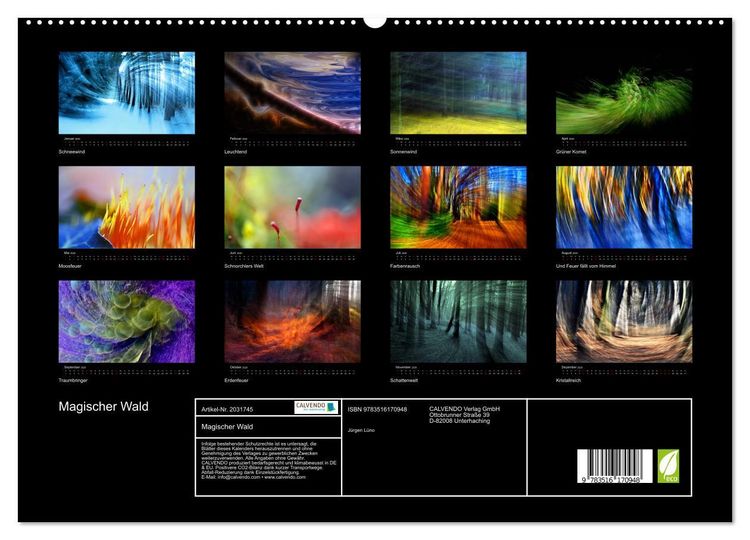 Produktbild: Magischer Wald (hochwertiger Premium Wandkalender 2026 DIN A2 quer), Kunstdruck in Hochglanz