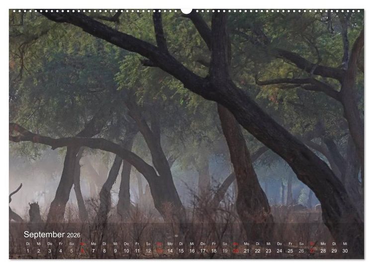Produktbild: Zimbabwe (Wandkalender 2026 DIN A2 quer), CALVENDO Monatskalender