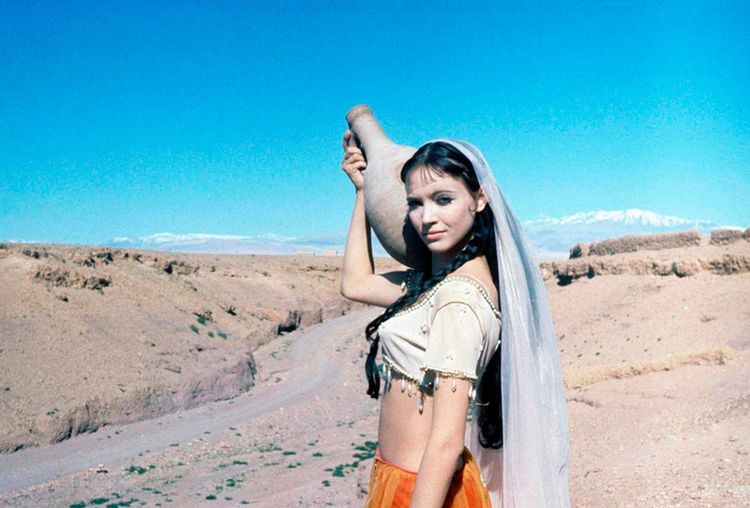 Produktbild: Scheherazade - Der goldene L&ouml;we von Bagdad (Sheherazade)
