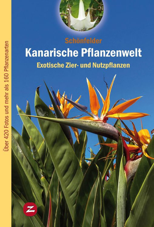 Produktbild: Kanarische Pflanzenwelt
