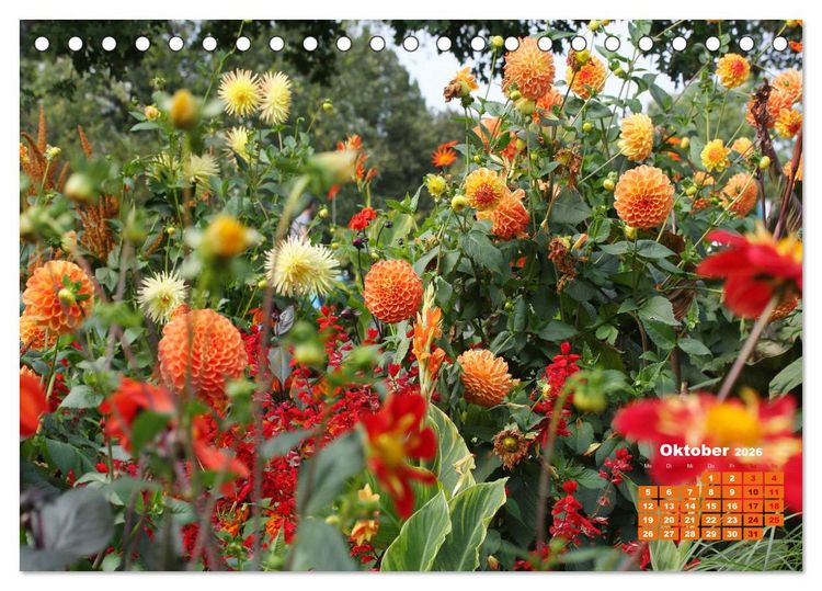 Produktbild: Urlaub im Garten (Tischkalender 2026 DIN A5 quer), CALVENDO Monatskalender
