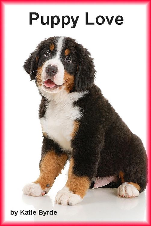 Produktbild: Puppy Love