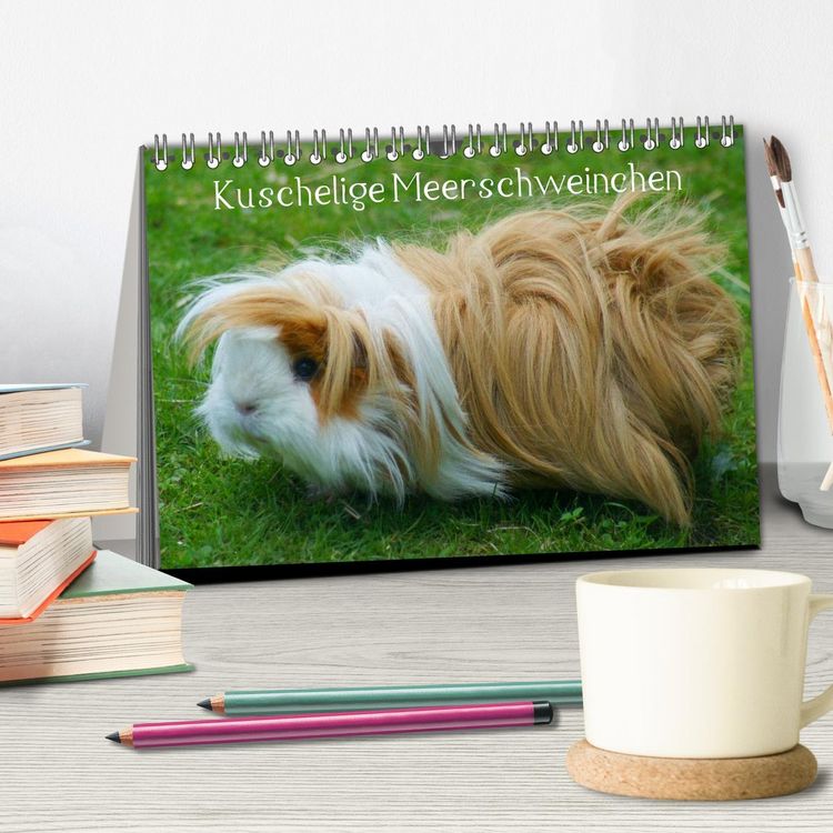 Produktbild: Kuschelige Meerschweinchen (Tischkalender 2026 DIN A5 quer), CALVENDO Monatskalender