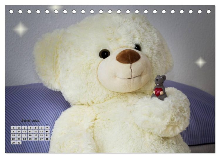 Produktbild: Teddys, wollen wir Kalender anschauen? (Tischkalender 2026 DIN A5 quer), CALVENDO Monatskalender