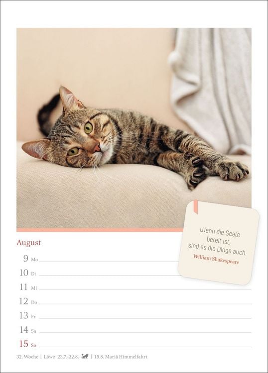 Produktbild: Katzengl&uuml;ck Wochenkalender 2027 - mit Zitaten