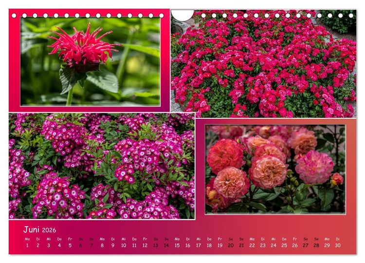 Produktbild: Erfurt erbl&uuml;ht (Wandkalender 2026 DIN A4 quer), CALVENDO Monatskalender