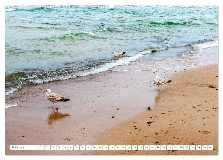 Produktbild: Warnem&uuml;nde - Sommer, Sonne und Sand im Schuh (Wandkalender 2026 DIN A2 quer), CALVENDO Monatskalender