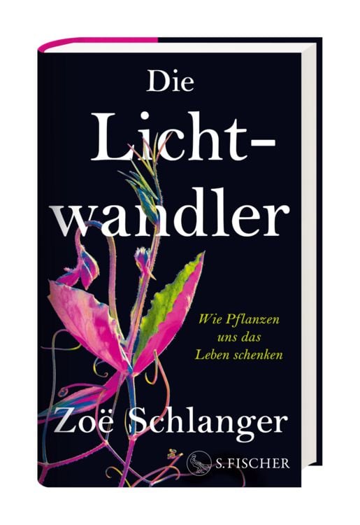 Produktbild: Die Lichtwandler