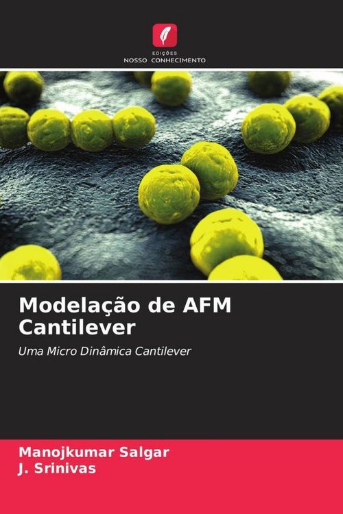 Produktbild: Modela&ccedil;&atilde;o de AFM Cantilever