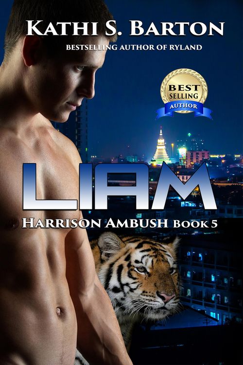 Produktbild: Liam (Harrison Ambush, #5)