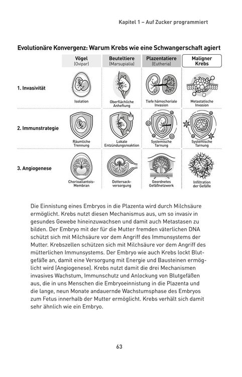 Produktbild: Die Zucker-Revolution