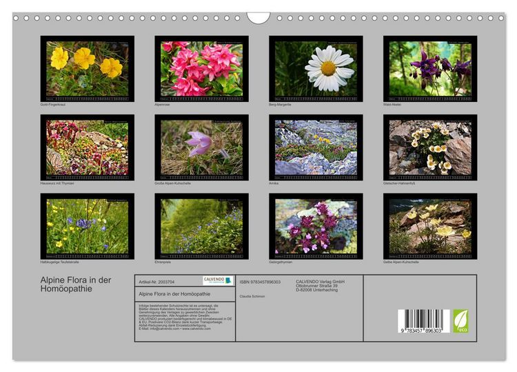 Produktbild: Alpine Flora in der Hom&ouml;opathie (Wandkalender 2026 DIN A3 quer), CALVENDO Monatskalender