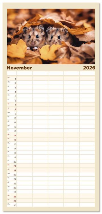 Produktbild: Familienplaner 2026 - Wild und flauschig - Hamster - Abenteuer in freier Natur mit 5 Spalten (Wandkalender, 21 x 45 cm) CALVENDO