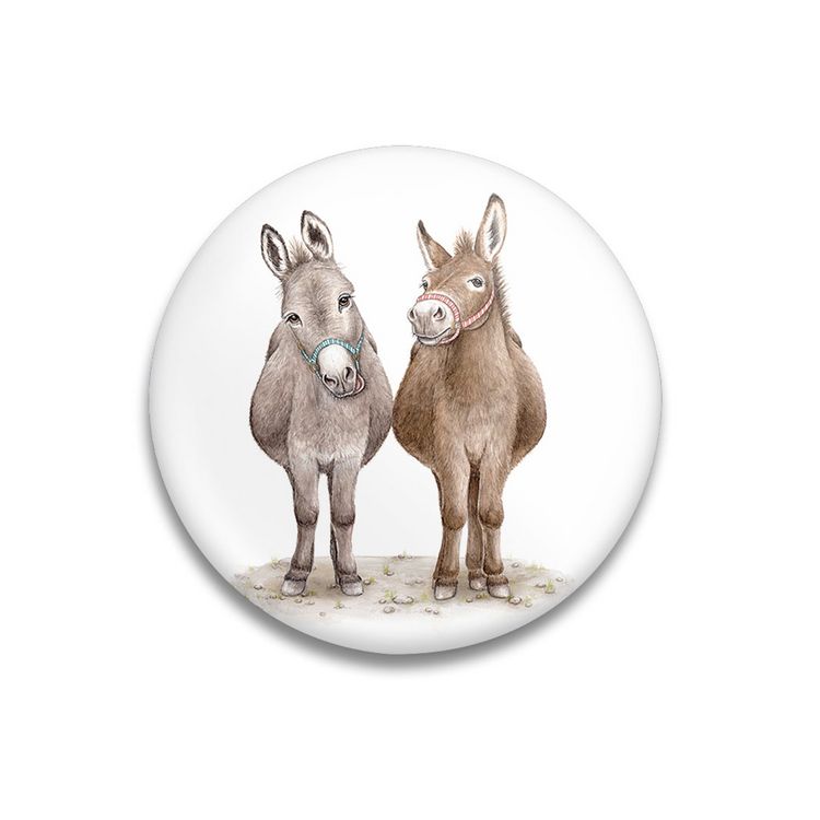 Produktbild: Dekomagnet Cheeky Donkeys
