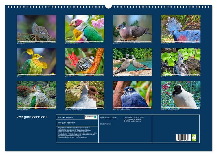 Produktbild: Wer gurrt denn da? (Wandkalender 2026 DIN A2 quer), CALVENDO Monatskalender