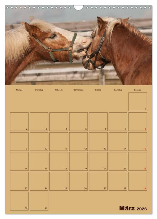 Produktbild: Pferde Gute Freunde (Wandkalender 2026 DIN A3 hoch), CALVENDO Monatskalender