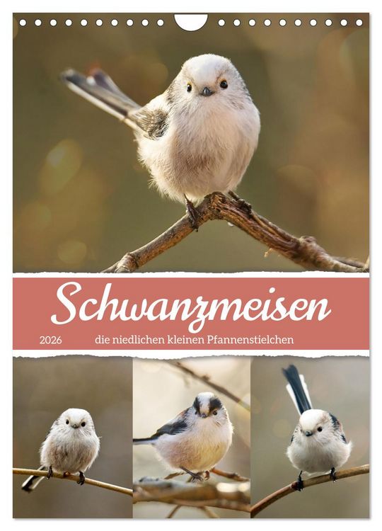Produktbild: Schwanzmeisen, die niedlichen kleinen Pfannenstielchen (Wandkalender 2026 DIN A4 hoch), CALVENDO Monatskalender