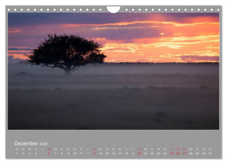 Produktbild: &Ouml;LAND - Besuch im etwas anderen Schweden 2026 (Wandkalender 2026 DIN A4 quer), CALVENDO Monatskalender