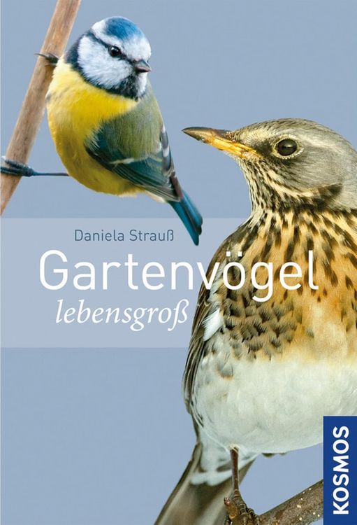 Produktbild: Gartenv&ouml;gel lebensgro&szlig;