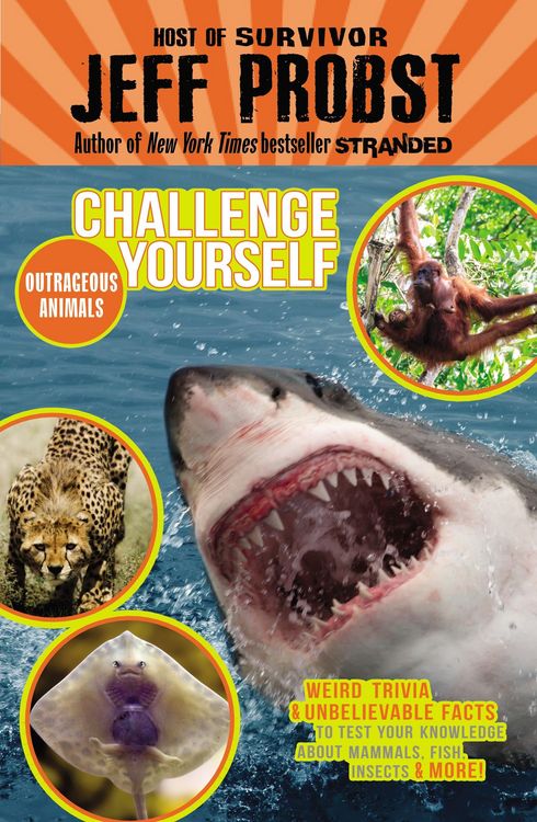 Produktbild: Outrageous Animals