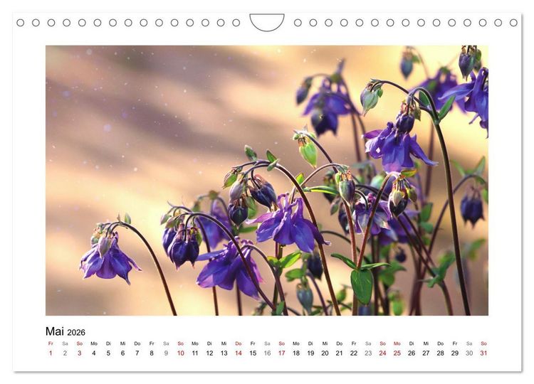 Produktbild: Mein Sehnsuchtsort, der Garten (Wandkalender 2026 DIN A4 quer), CALVENDO Monatskalender