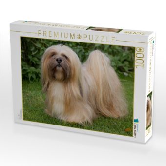 Produktbild: CALVENDO Puzzle Lhasa Apsu | 1000 Teile Lege-Gr&ouml;&szlig;e 64x48cm Foto-Puzzle f&uuml;r gl&uuml;ckliche Stunden