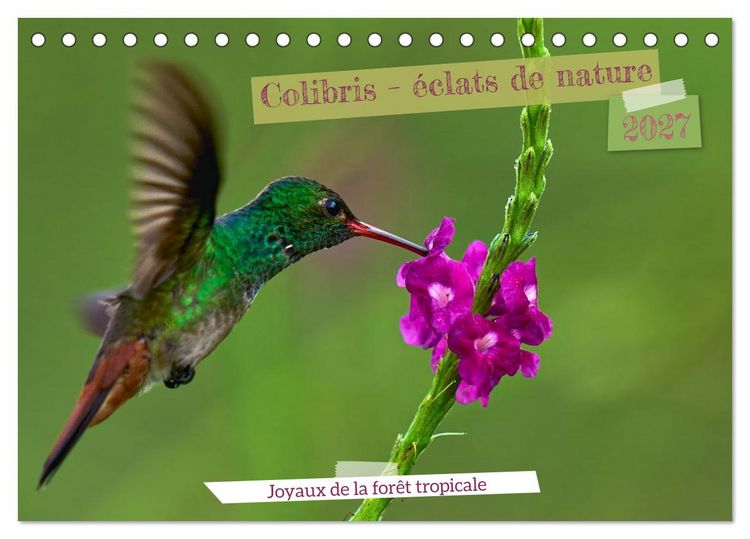 Produktbild: Colibris &ndash; &eacute;clats de nature (Calendrier de bureau 2027 DIN A5 vertical), CALVENDO calendrier mensuel