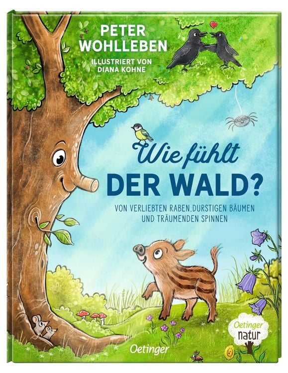 Produktbild: Wie fühlt der Wald?