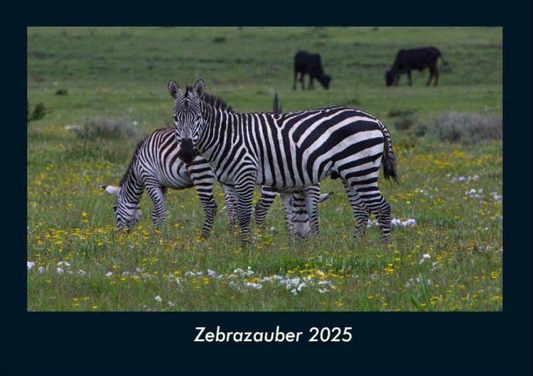 Produktbild: Zebrazauber 2025 Fotokalender DIN A4